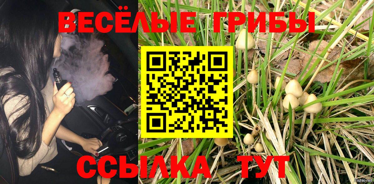 Псилоцибиновые грибы ЛСД  Псилоцибиновые грибы ЛСД  Вход с VPN  продажа наркотиков  Приморско-Ахтарск 